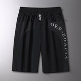 DryFit™ Herren Shorts aus Eisseide