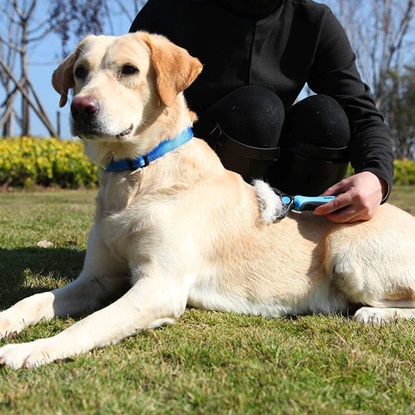 Bluehaus™-borstel voor huisdierenverzorging 