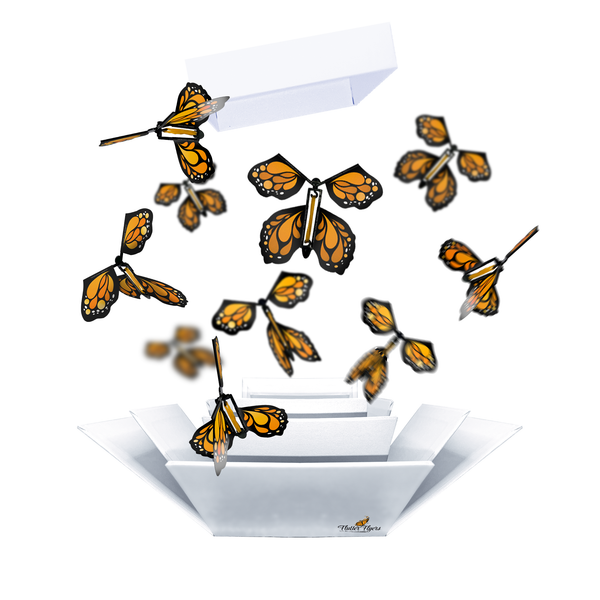 Himmelswunder™ | Verzaubernde Schmetterlings-Flugkarten